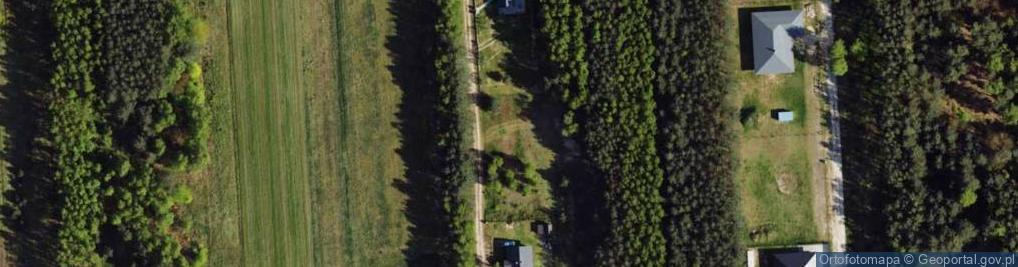 Zdjęcie satelitarne Modrzewiowa ul.