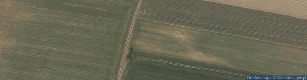 Zdjęcie satelitarne Morelowa ul.