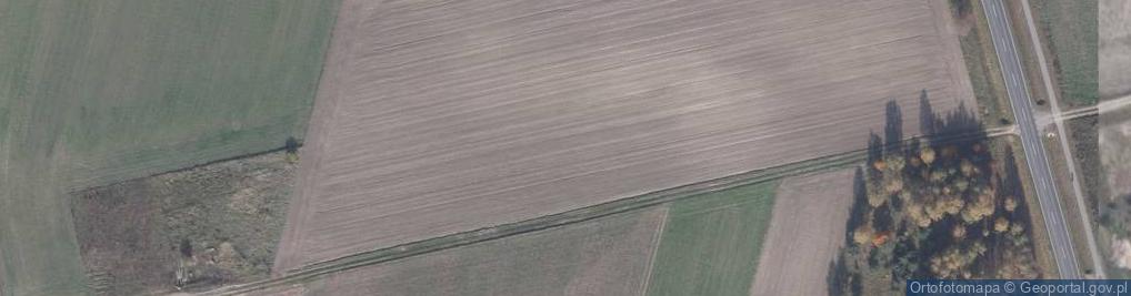 Zdjęcie satelitarne Modrzewiowa ul.