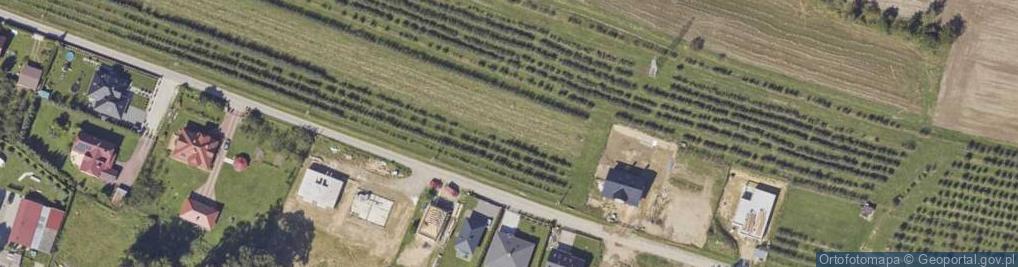 Zdjęcie satelitarne Modrzewiowa ul.