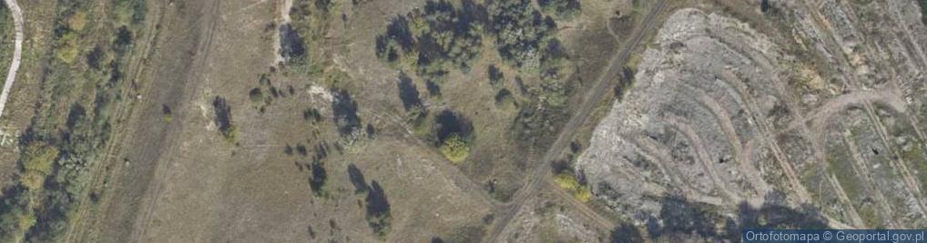 Zdjęcie satelitarne Morwowa ul.