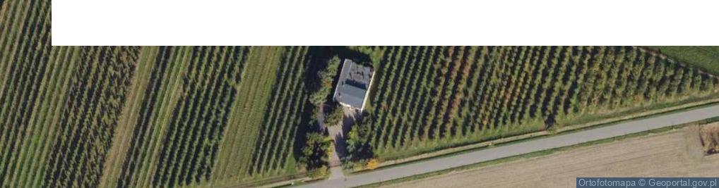 Zdjęcie satelitarne Morzewiecka ul.