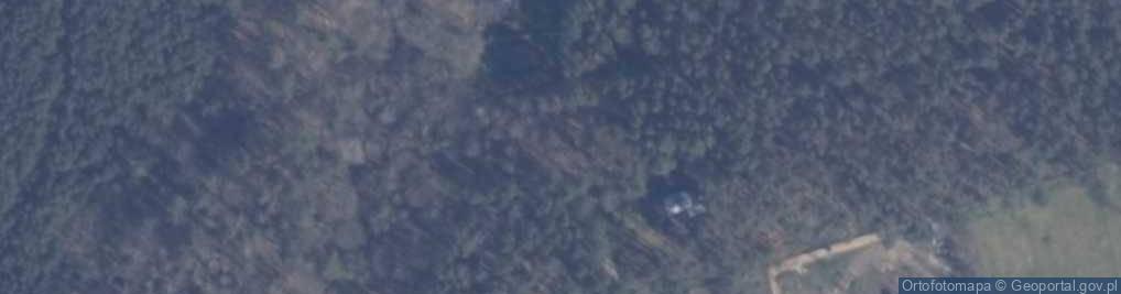 Zdjęcie satelitarne Modrzewiowa ul.