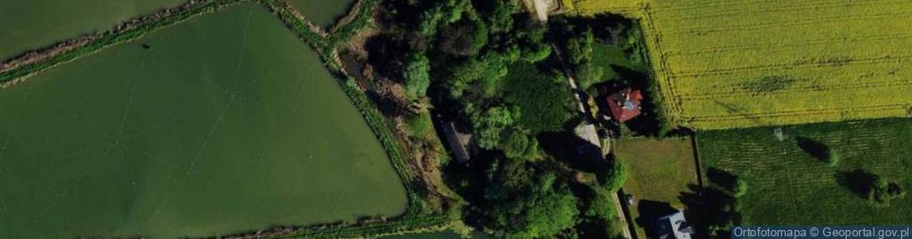 Zdjęcie satelitarne Muchomorów ul.