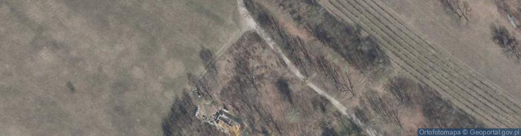 Zdjęcie satelitarne Muchomora ul.