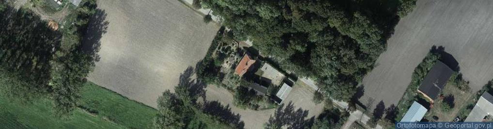 Zdjęcie satelitarne Murzynno ul.