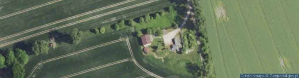 Zdjęcie satelitarne Muzealna ul.