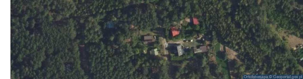 Zdjęcie satelitarne Myśliwska ul.