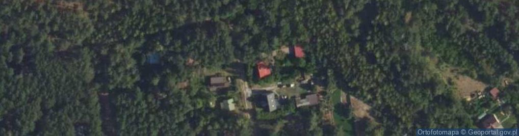 Zdjęcie satelitarne Myśliwska ul.