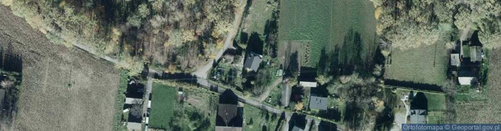 Zdjęcie satelitarne Myśliwska ul.