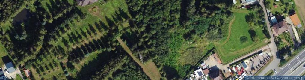 Zdjęcie satelitarne Myślenicka ul.