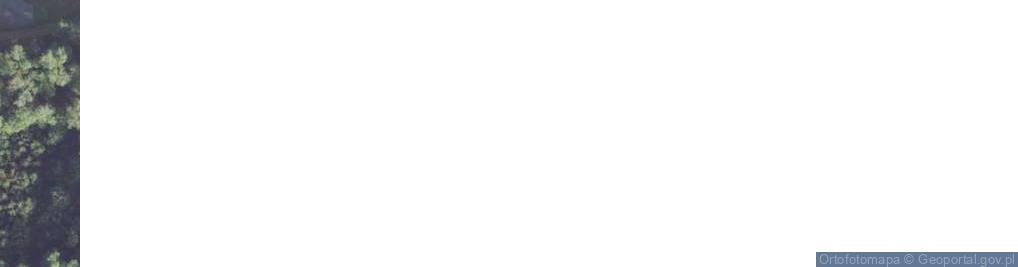 Zdjęcie satelitarne Myśliwska ul.