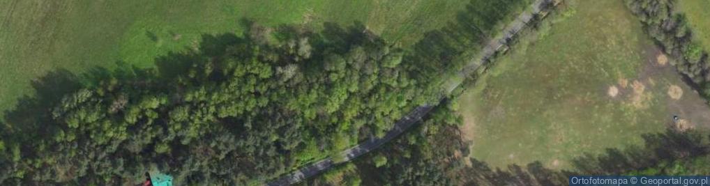 Zdjęcie satelitarne Myszkowska ul.