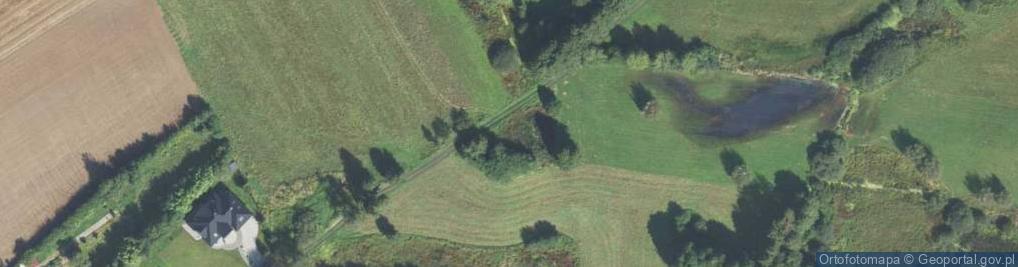 Zdjęcie satelitarne Myśliwska ul.