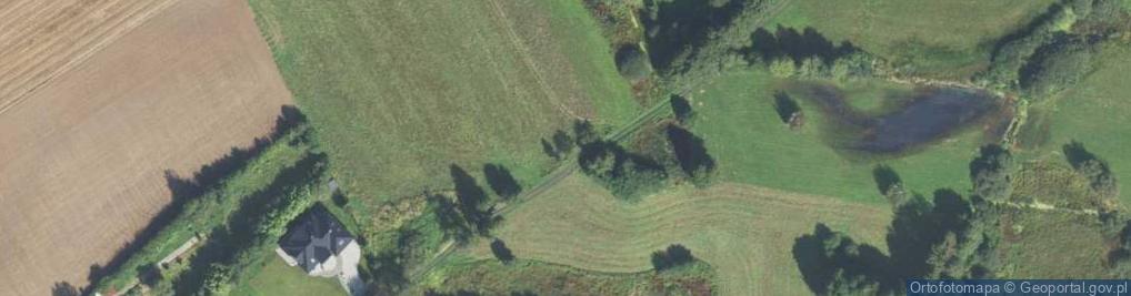 Zdjęcie satelitarne Myśliwska ul.