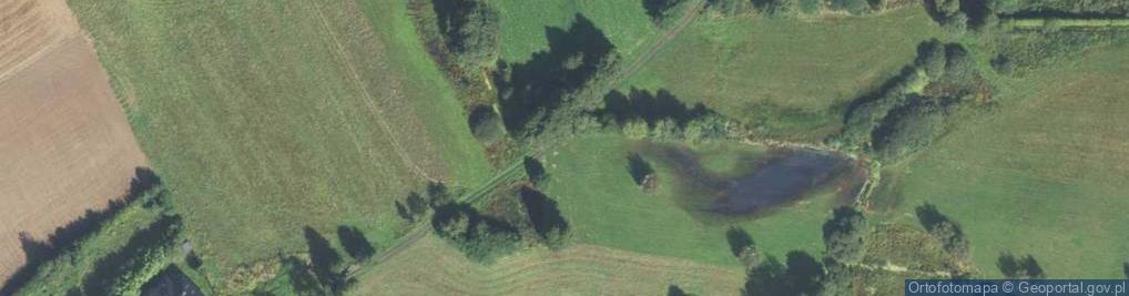 Zdjęcie satelitarne Myśliwska ul.