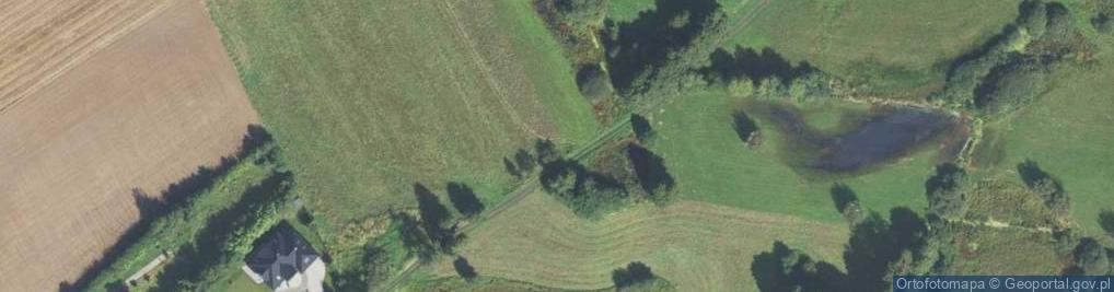 Zdjęcie satelitarne Myśliwska ul.