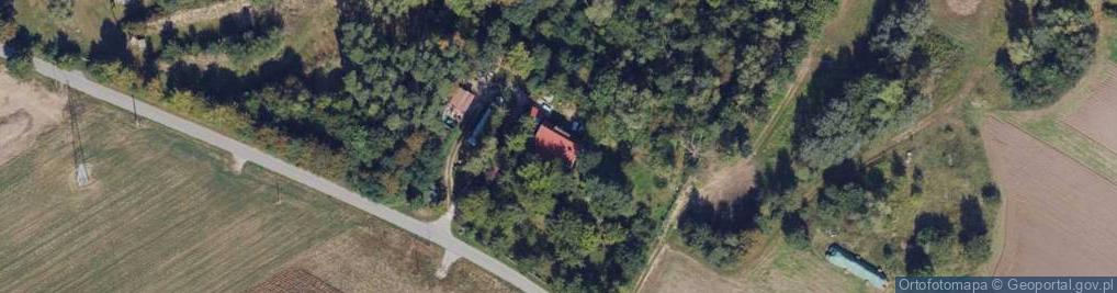 Zdjęcie satelitarne Myśliwska ul.