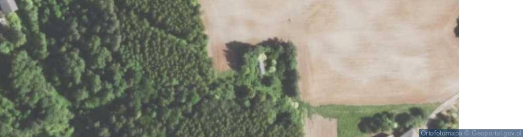 Zdjęcie satelitarne Mychów-Kolonia ul.