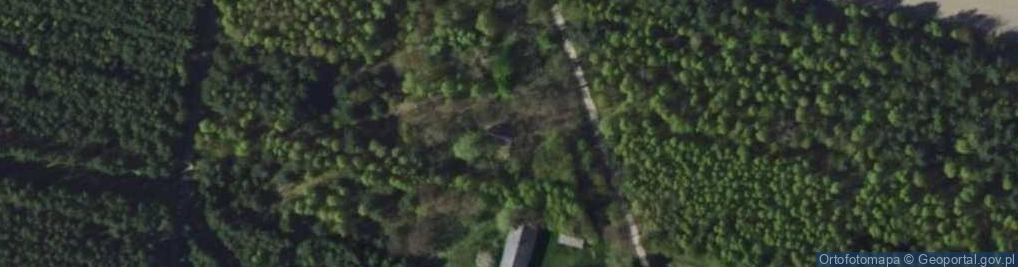 Zdjęcie satelitarne Myśliwczów Kolonia ul.