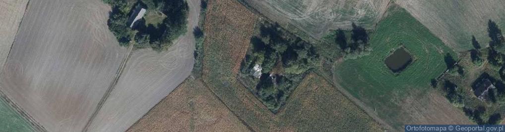Zdjęcie satelitarne Myśliwiec ul.