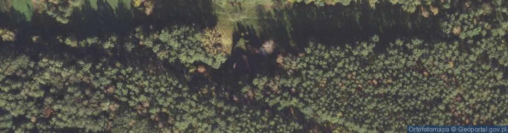 Zdjęcie satelitarne Myślniew ul.