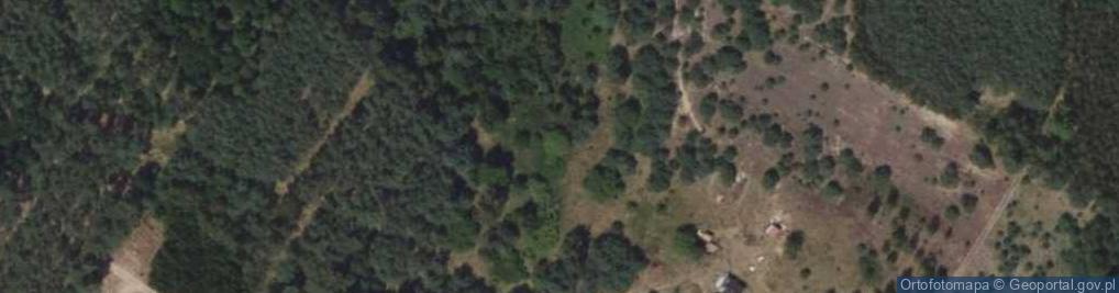 Zdjęcie satelitarne Mysłownia Nowa ul.