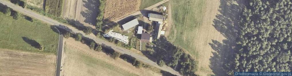 Zdjęcie satelitarne Myszaków ul.