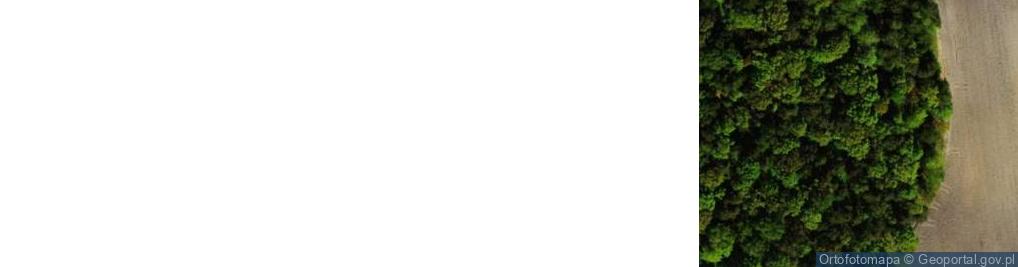 Zdjęcie satelitarne Myśliwska ul.