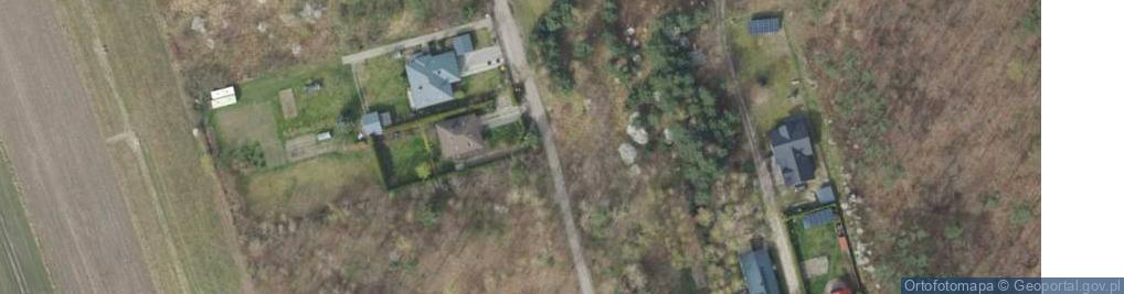 Zdjęcie satelitarne Myśliwska ul.