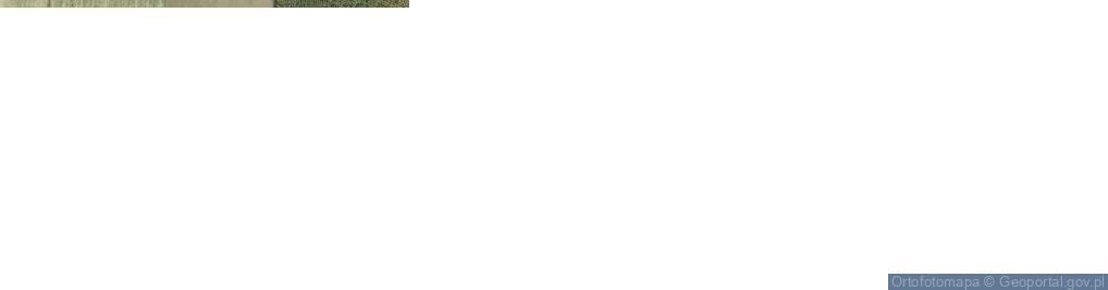 Zdjęcie satelitarne Myśliwska ul.