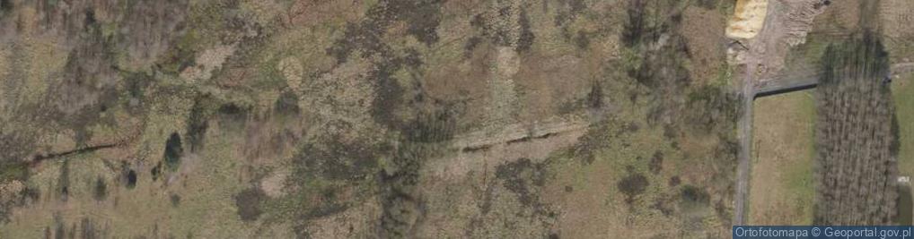 Zdjęcie satelitarne Myśliwska ul.