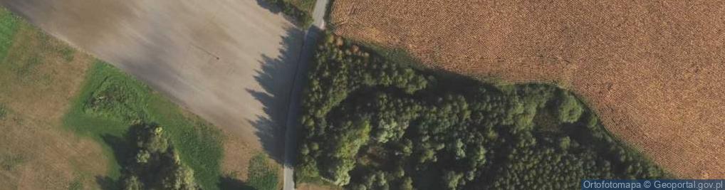 Zdjęcie satelitarne Myśliwiecka ul.