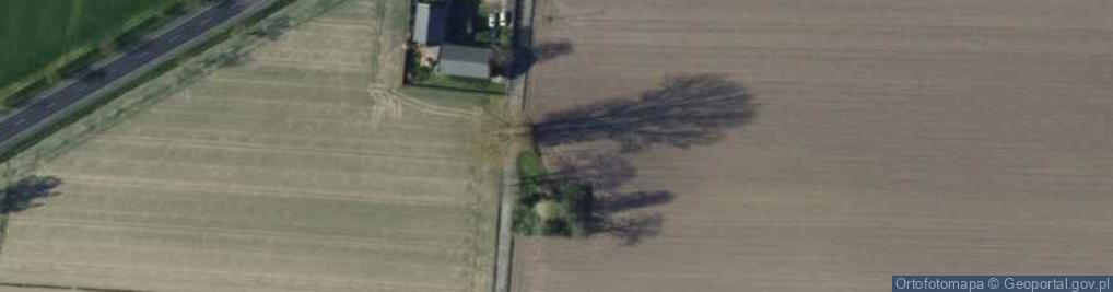 Zdjęcie satelitarne Mzurki ul.