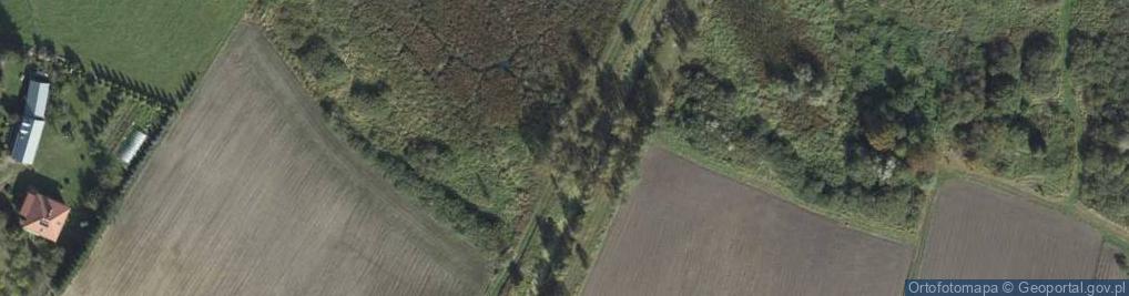 Zdjęcie satelitarne Nadrybie-Wieś ul.