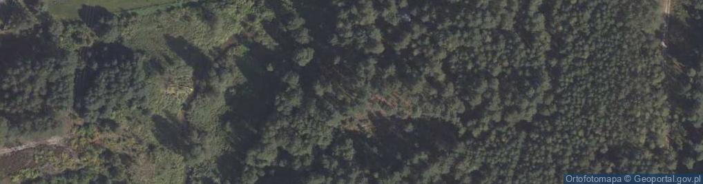 Zdjęcie satelitarne Nadrzecze ul.