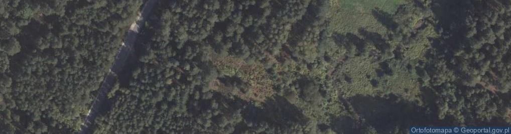 Zdjęcie satelitarne Nadrzecze ul.