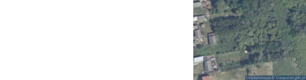 Zdjęcie satelitarne Nałęczów ul.