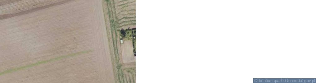 Zdjęcie satelitarne Napoleonowo ul.