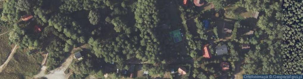 Zdjęcie satelitarne Naprusewo ul.