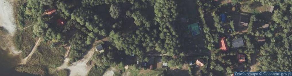 Zdjęcie satelitarne Naprusewo ul.