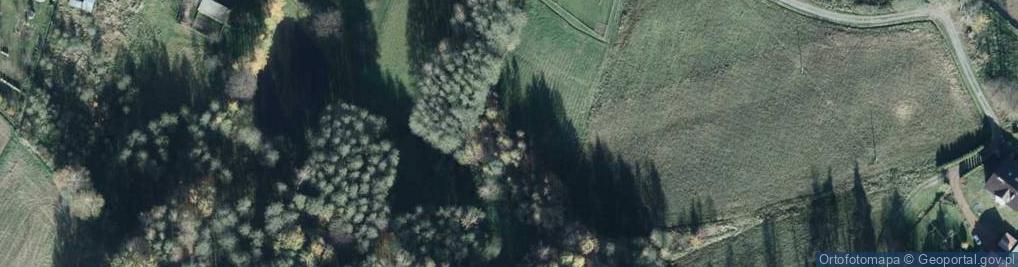 Zdjęcie satelitarne Na Skraju Lasu ul.