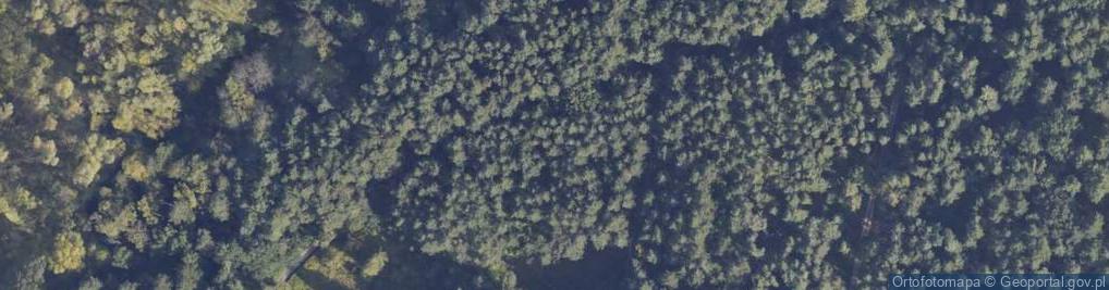 Zdjęcie satelitarne Nadrzeczna ul.