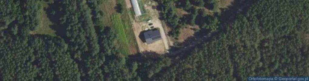 Zdjęcie satelitarne Nawłoci ul.