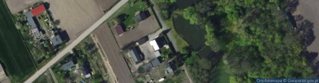 Zdjęcie satelitarne Nędzerzew ul.