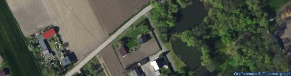 Zdjęcie satelitarne Nędzerzew ul.