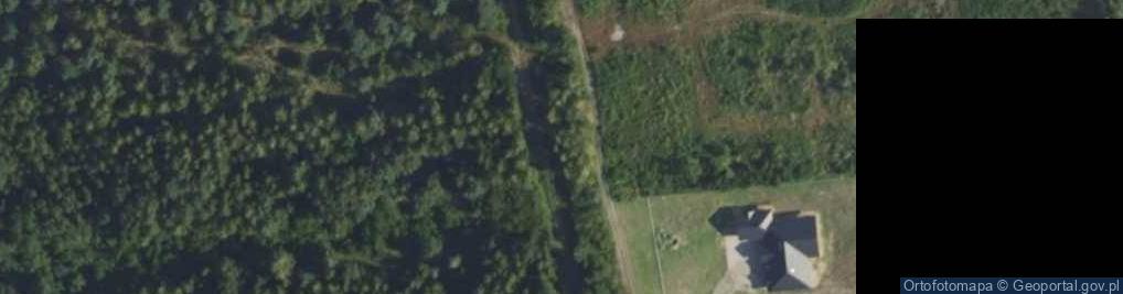 Zdjęcie satelitarne Neptuna ul.