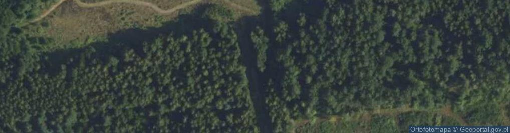 Zdjęcie satelitarne Neptuna ul.