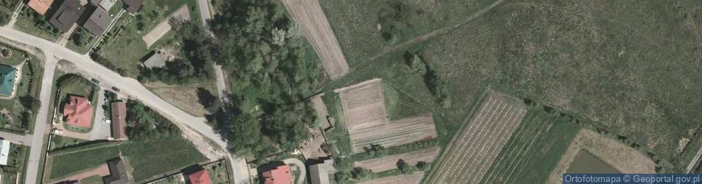 Zdjęcie satelitarne Niwa ul.