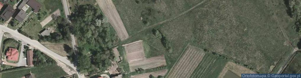Zdjęcie satelitarne Niwa ul.